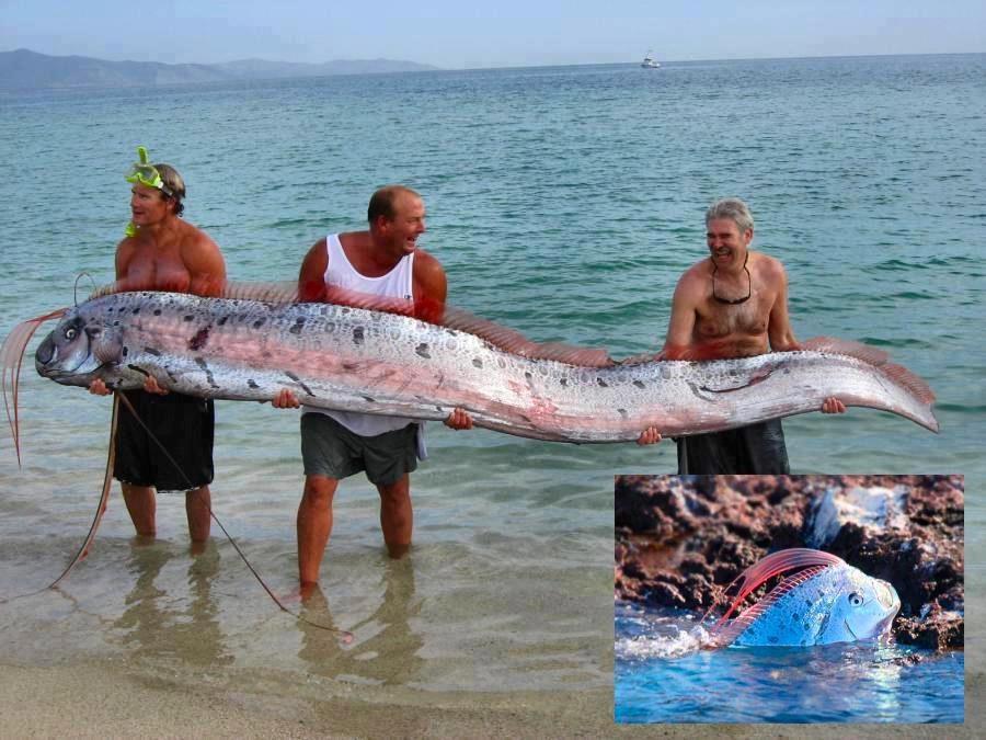 Imala je "ovolko oko"!