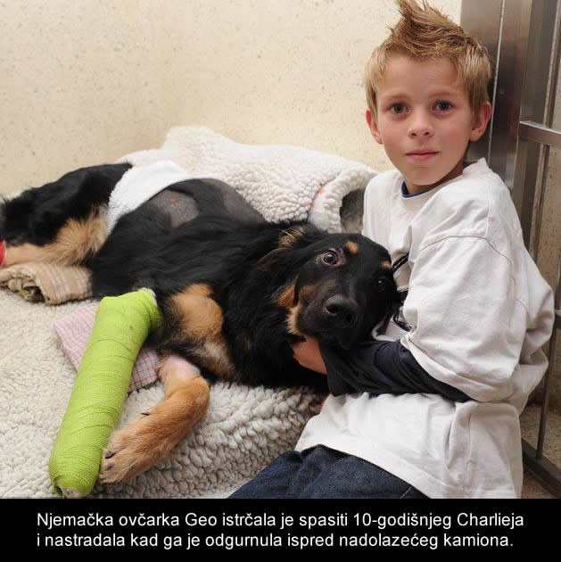 Dječak brine za svoju ljubimicu koja mu je spasila život