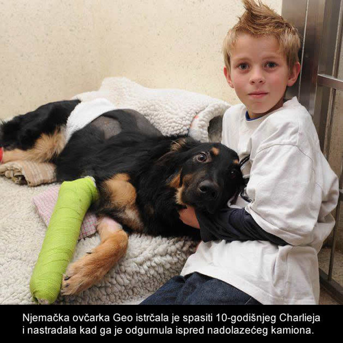 Dječak brine za svoju ljubimicu koja mu je spasila život