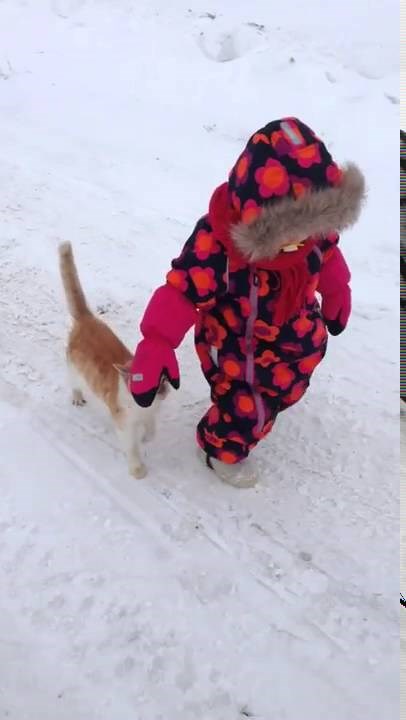 OČAJNIČKI POTEZ: Mačka koja ne zna što znači NE!