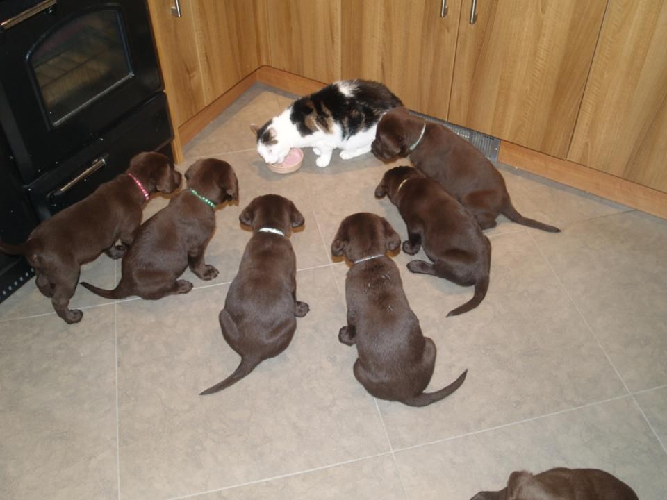 Zna se tko je gazda, ako vam ne paše selite se