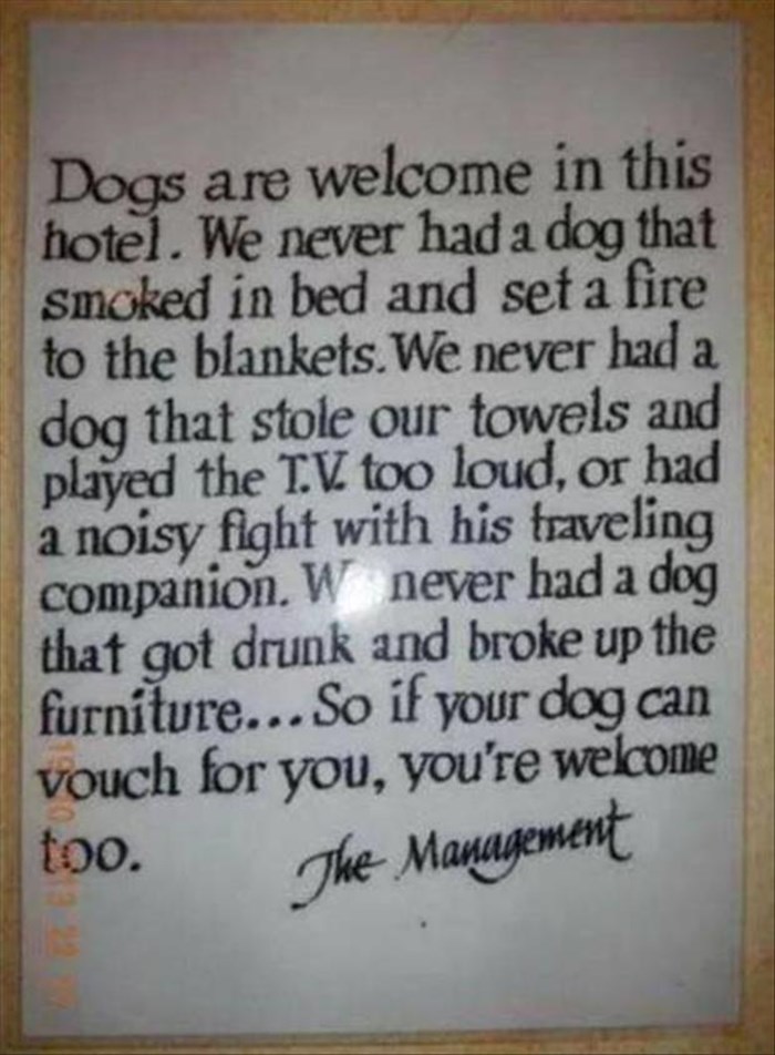 Zašto ovaj hotel prima i pse?