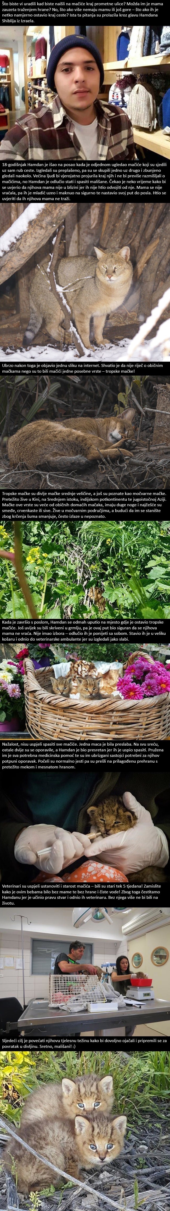 Spasio je mačiće koje je našao pokraj ceste, ali nisu bili ono što je mislio!