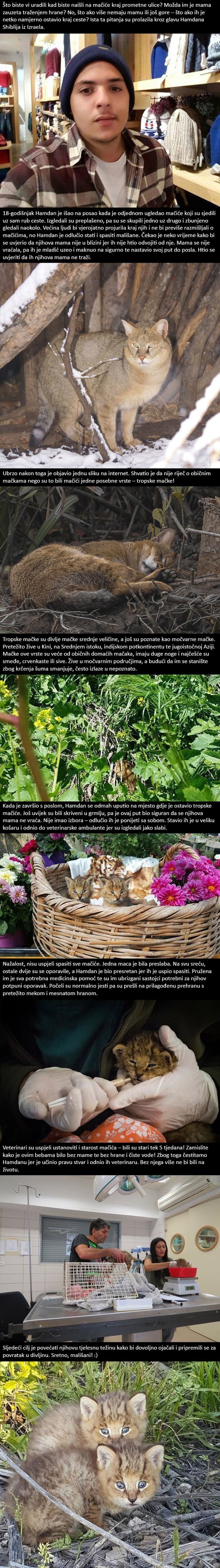 Spasio je mačiće koje je našao pokraj ceste, ali nisu bili ono što je mislio!