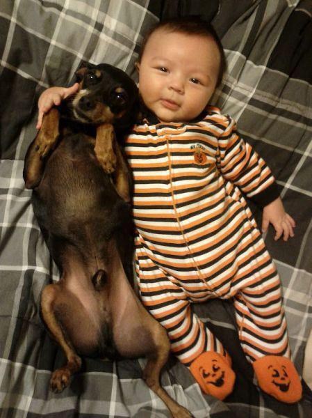 Buđenje s najboljim malim prijateljem