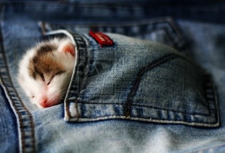 Briga za najmanje učinit će te najvećim