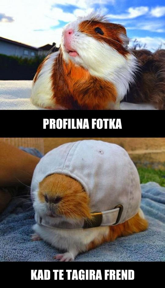 Najviše boli kad te frend "izda"