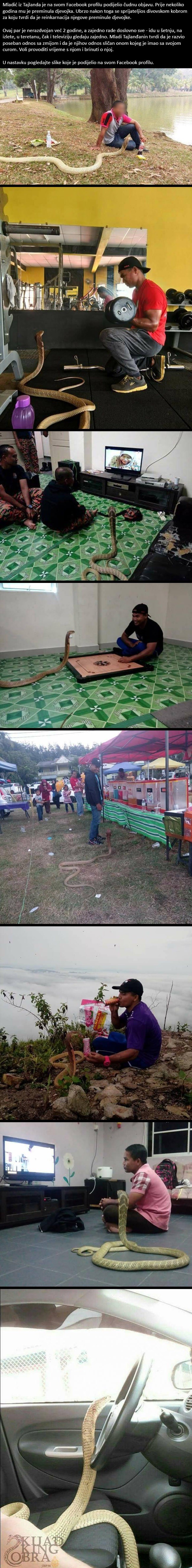 Mladić već 2 godine živi s divovskom kobrom jer misli da je reinkarnacija njegove preminule djevojke!