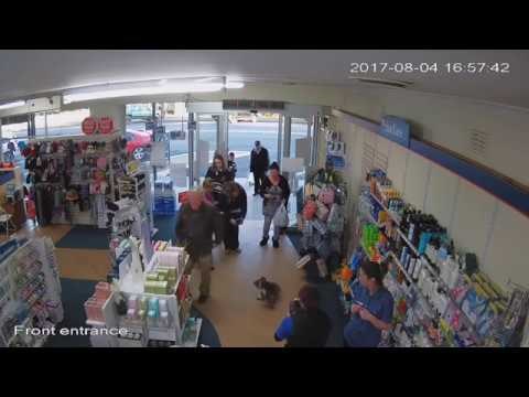 VIDEO Svi su stali i čudno gledali kad su vidjeli tko se ušetao u ovaj dućan