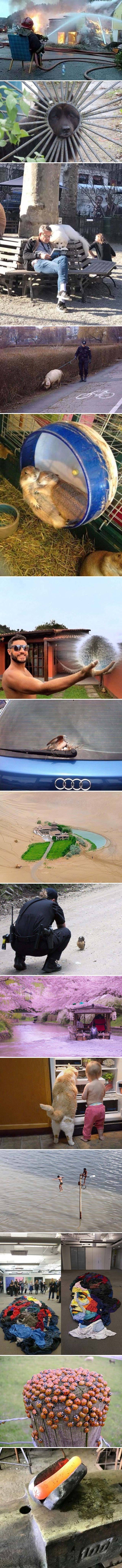 Ovi uslikani prizori su posebni i govore puno više od običnih fotografija