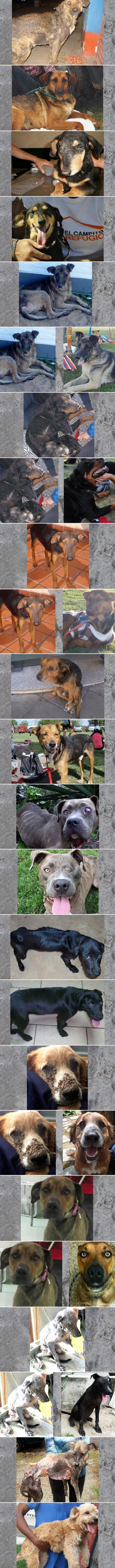 Galerija: Razlika koju čini topli dom