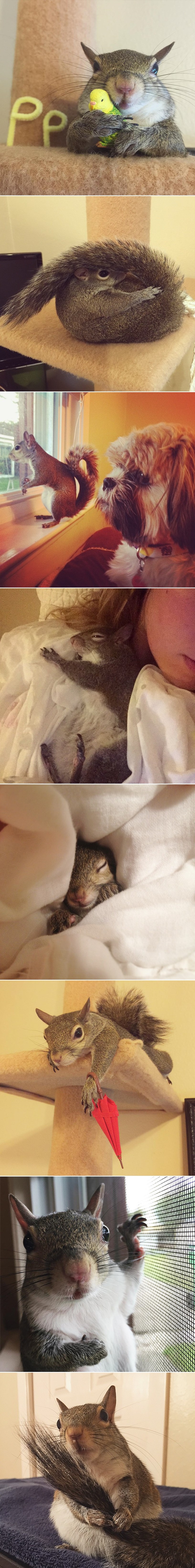 GALERIJA: Predivna Jill spašena nakon uragana sada je nova Instagram zvijezda