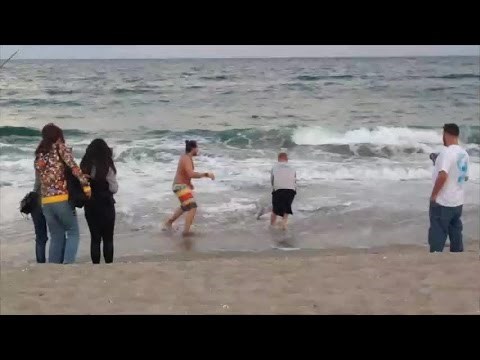 IDIOT NA DJELU: Izvukao bebu morskog psa da bi s njom napravio selfie