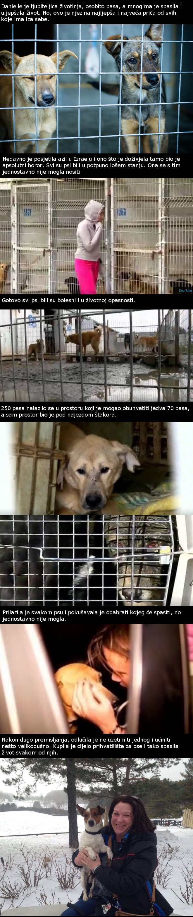 Nije se mogla odlučiti kojeg psa spasiti, a onda je učinila nešto nevjerojatno