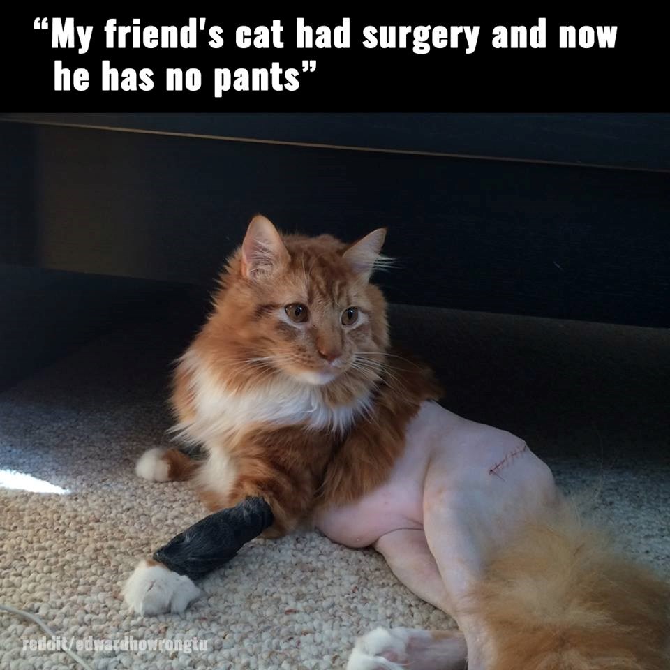 "Draw me like one of your french girls"