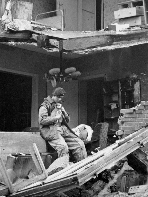 Osjećajni vojnik spasio psića