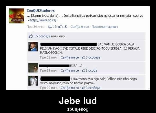 Pelikan - riba ili majmun?