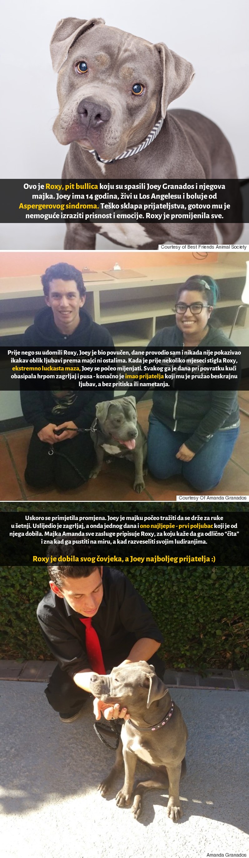 Galerija: Majka dobila prvi poljubac od bolesnog sina, a sve zbog jednog pit bulla