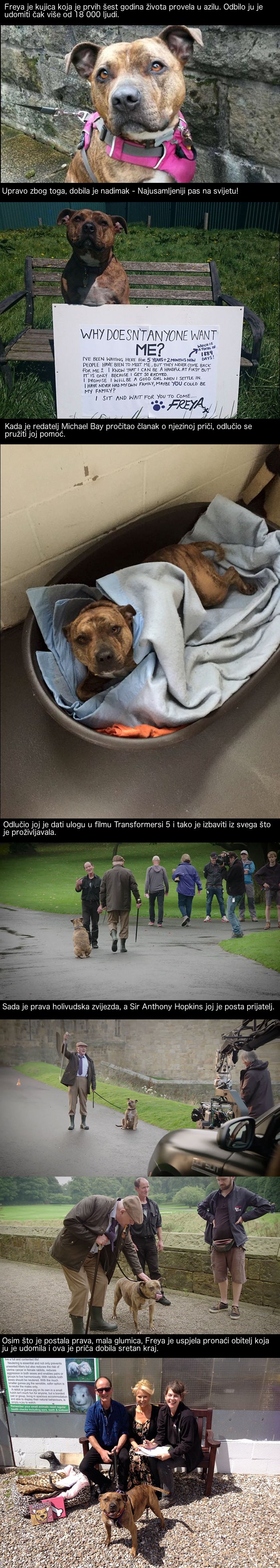 Ovog psića odbilo je udomiti više od 18 000 ljudi, a onda se dogodilo pravo čudo