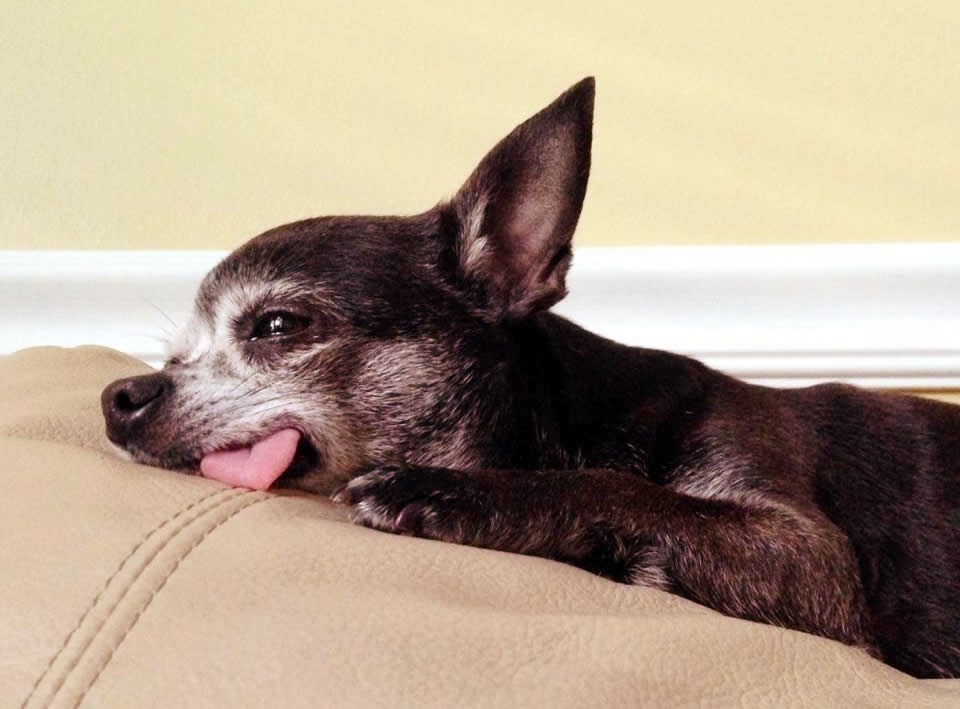 I vi se trenutno osjećate ovako?