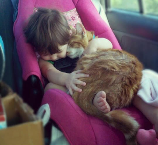 Ovakva ljubav traje zauvijek