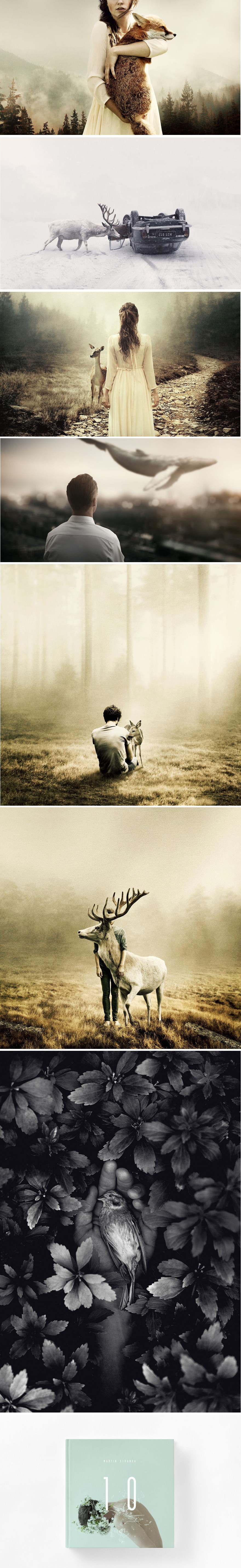 Ovaj umjetnik svoje je fotografije posvetio spašenim životinjama