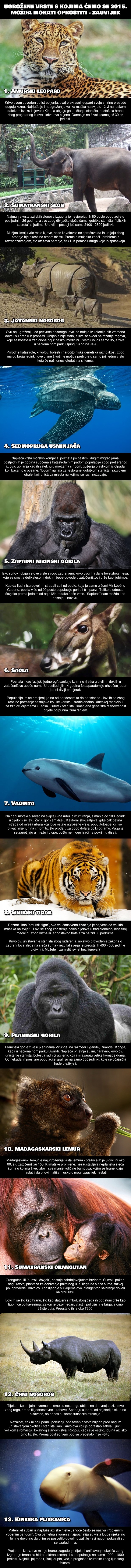 Galerija: Hoće li 2015. biti posljednji pozdrav ovim bićima?