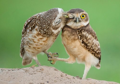 Draga, ne sad, fotkamo se za moje doma, jooooj