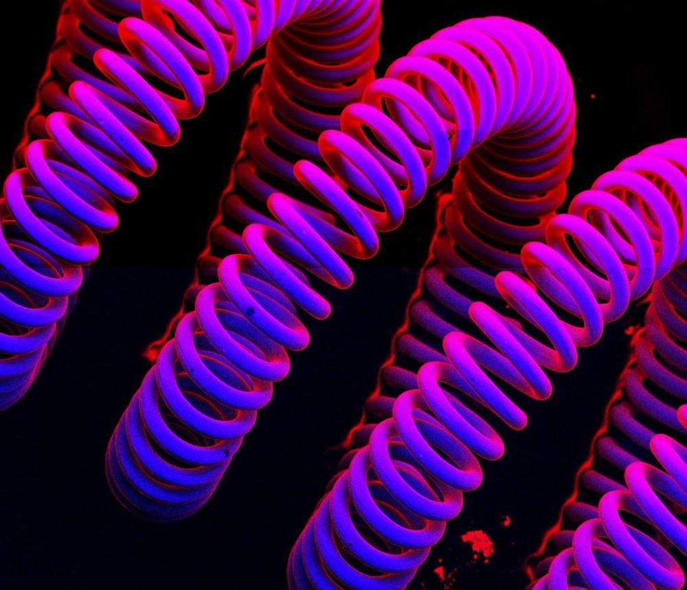 Užarene niti žarulje koja svjetlost daje