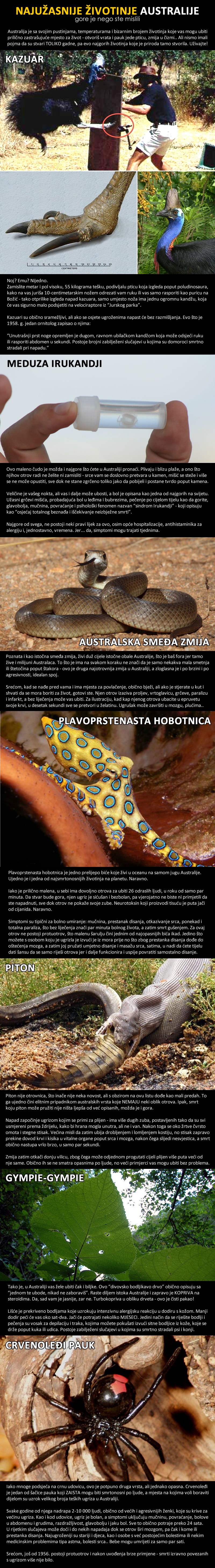 NAJUŽASNIJE ŽIVOTINJE AUSTRALIJE: Stanje je gore nego ste sanjali, ubija i drveće!