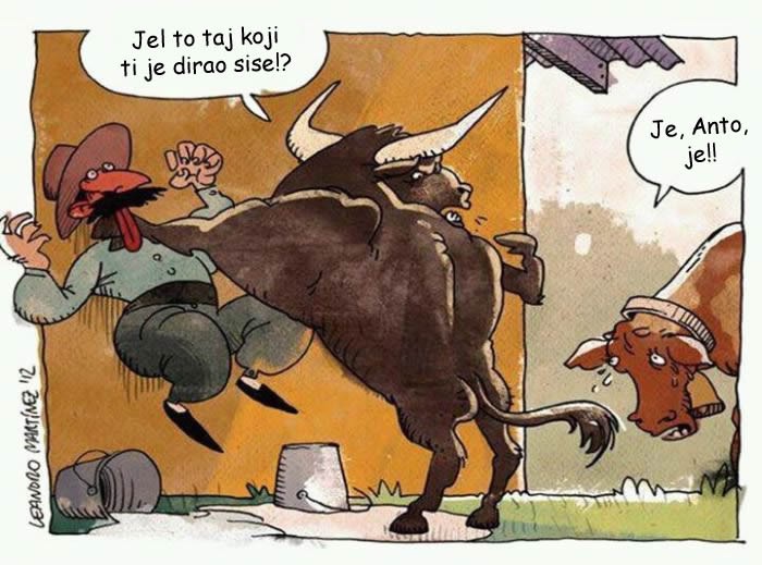 Bik osvetio diranje krave: Seljaci, ovo je gore od Todorića!