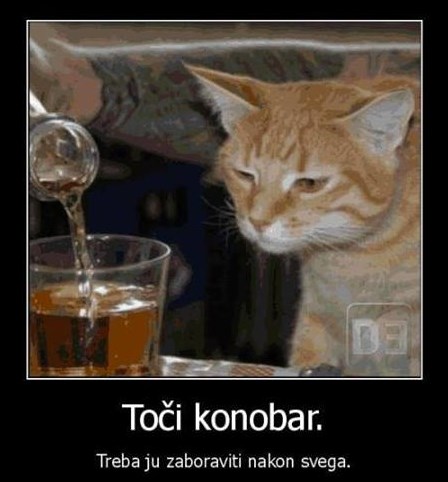 Alkohol liječi sve ljubavne rane?