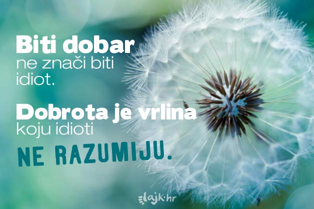 Idiotu ne objašnjavaj dobrotu