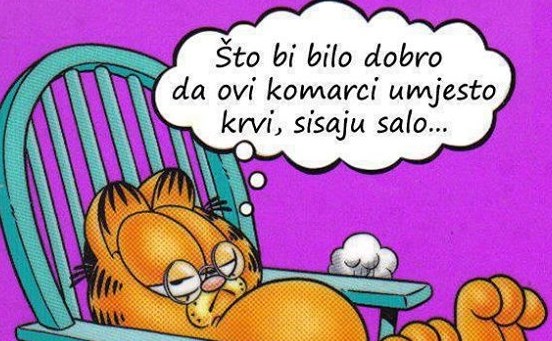 Ostvarenje snova svakog lijenog debeljuce