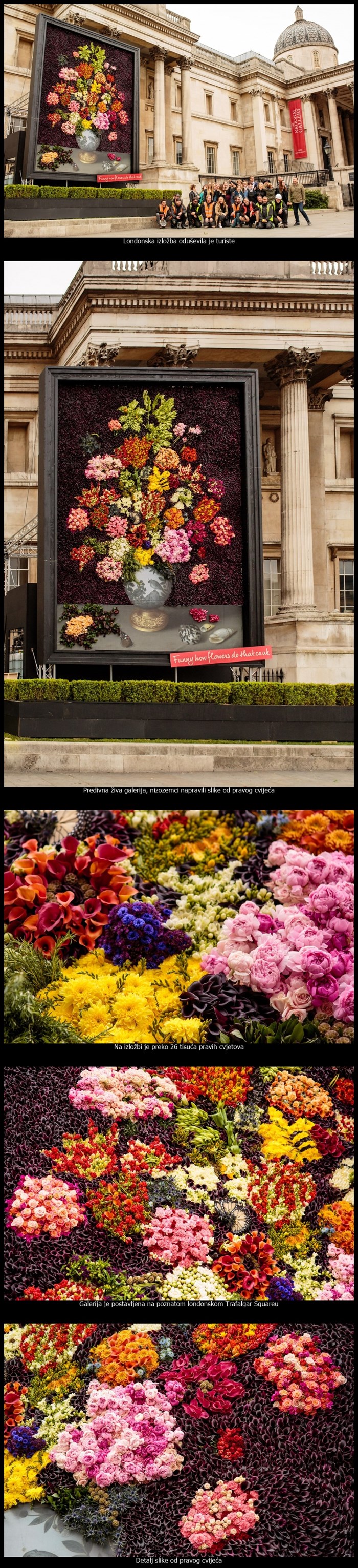 Ogromna galerija slika od pravog cvijeća oduševila London i njegove turiste
