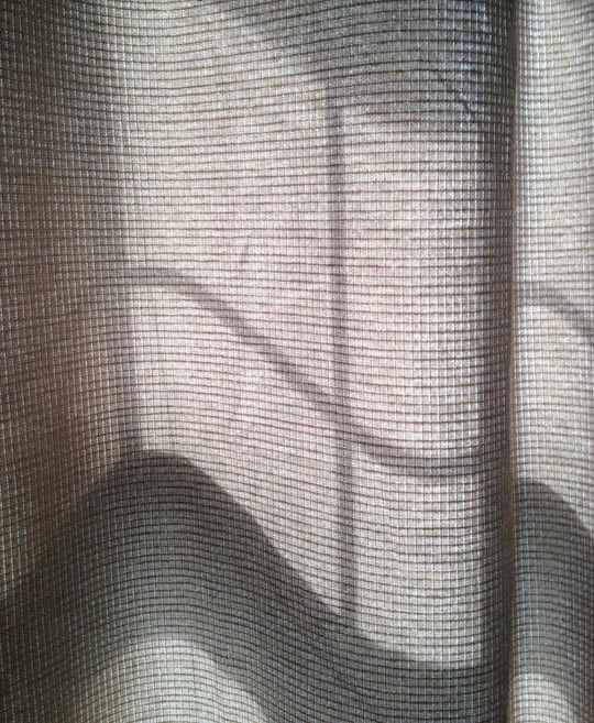 Konačno prokužen logo Windowsa