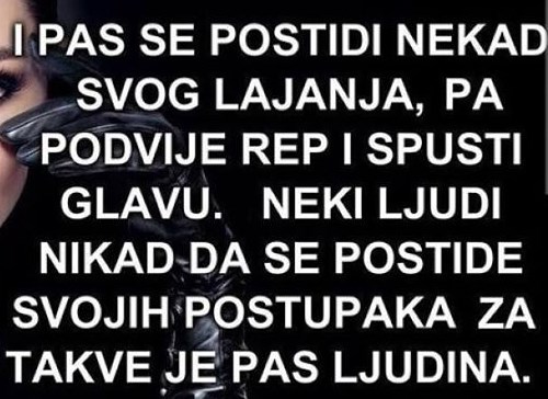Za neke je ljude pas ljudina
