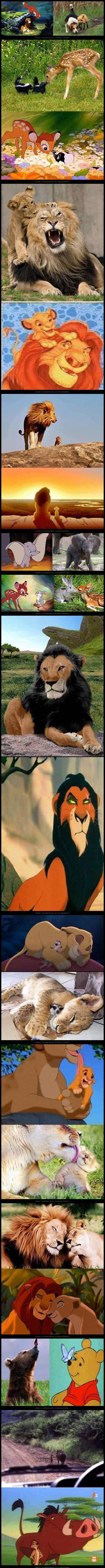 o, nemojte se ni usuditi pomisliti da nisu stvarni..:))