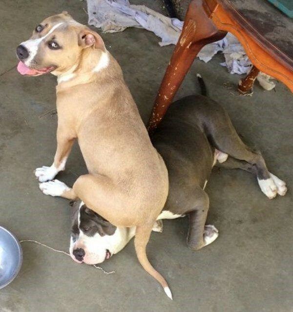 Jedan od onih dana..