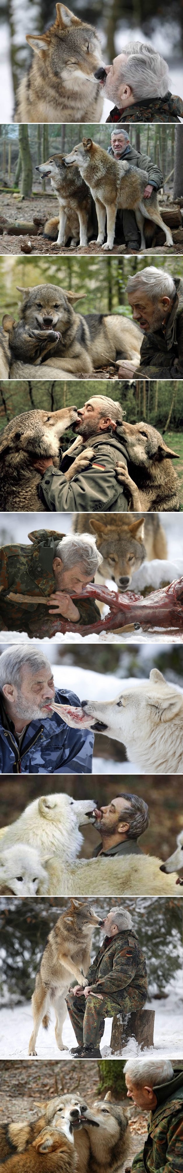 Čovjek postao vođa čopora vukova