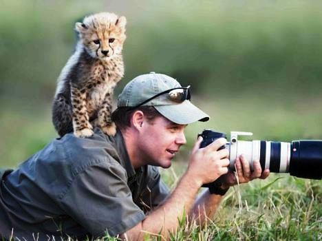 Gepardić "pokorio" fotografa u divljini