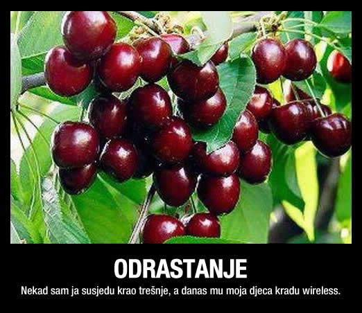 Kaj su krali naši stari: Djetinjstvo 21. stoljeća