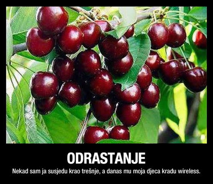Kaj su krali naši stari: Djetinjstvo 21. stoljeća