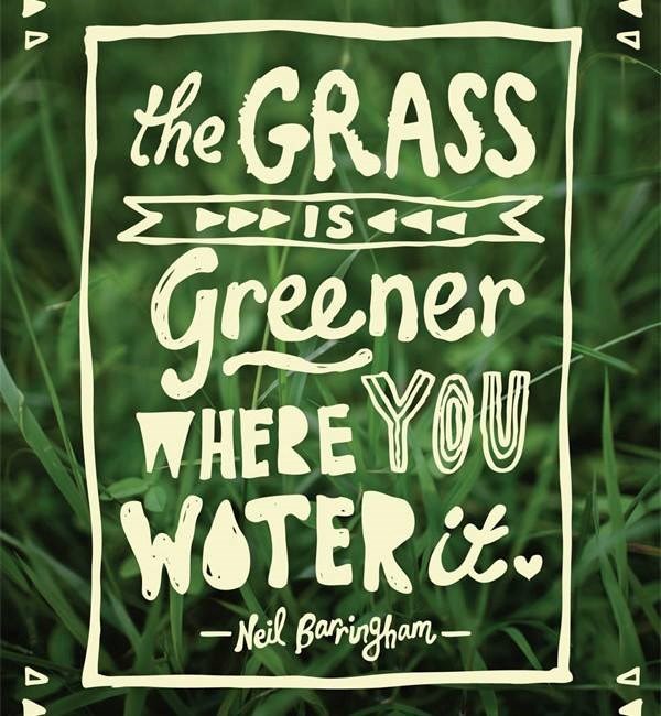 Evo zašto je susjedova trava uvijek zelenija!