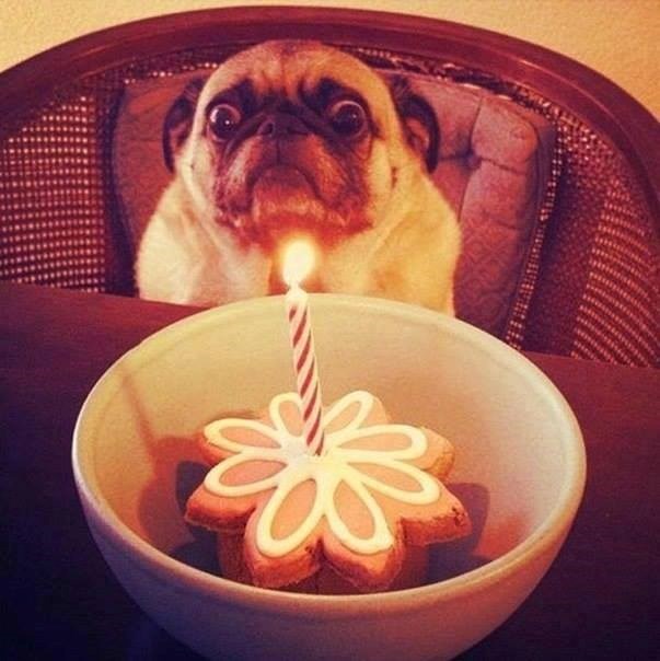 I kroz požar ću za tebe, keksiću!