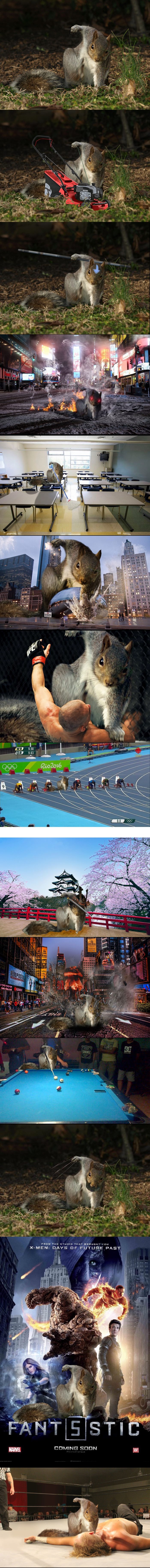 Čudna poza ove vjeverice potaknula je ljude na urnebesnu Photoshop bitku