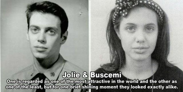 Angelina Jolie je Steve Buscemi?