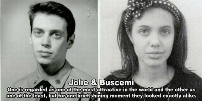 Angelina Jolie je Steve Buscemi?