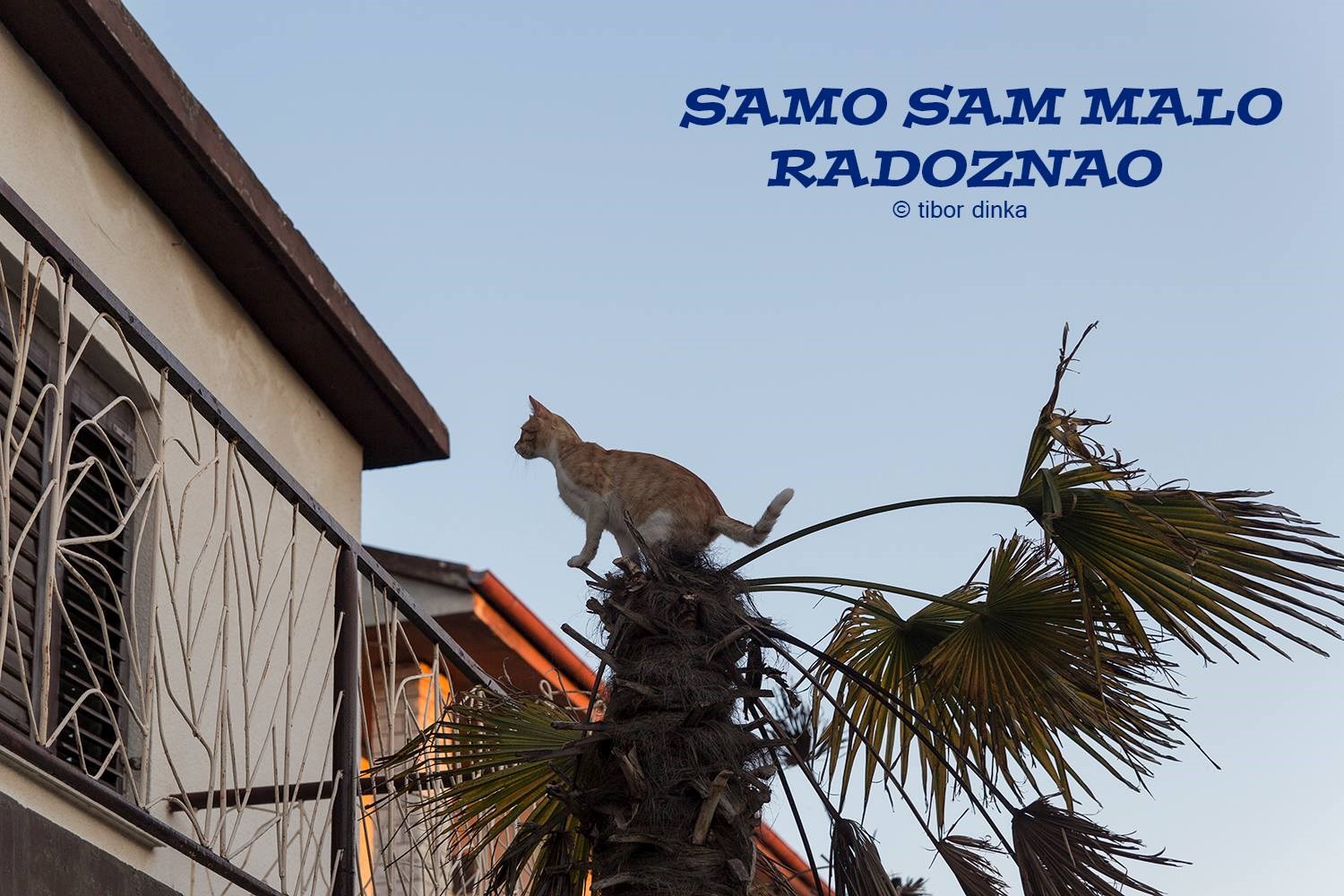 Mali voajer viri kroz rolete