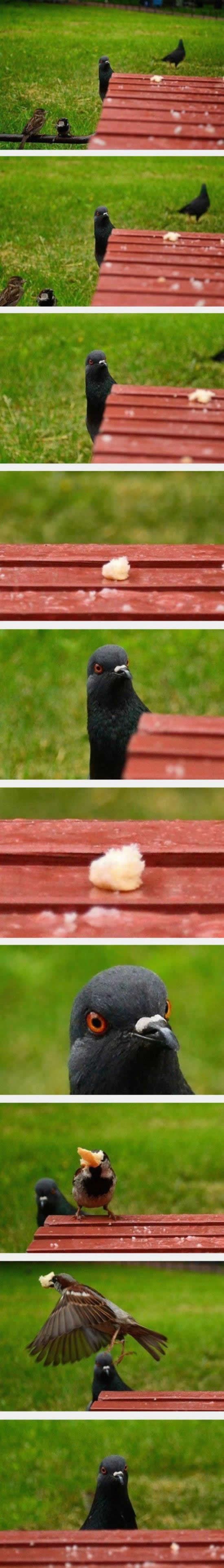 GALERIJA: Neviđen izraz gorkog razočaranja